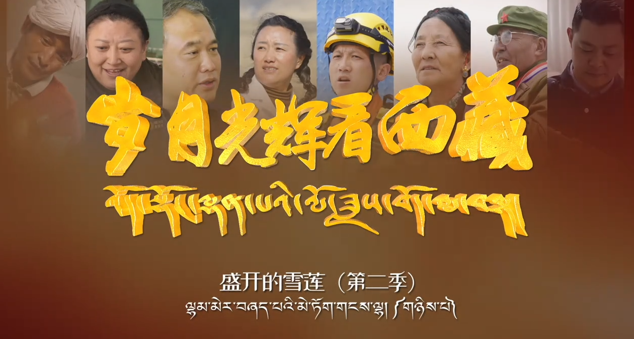 盛开的雪莲第二季之旦增称来——藏毯上的匠新梦