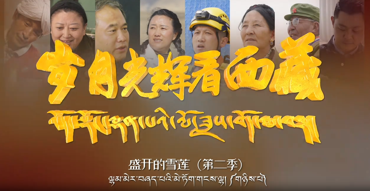 盛开的雪莲第二季之杨雪军——赤胆忠心铸警魂