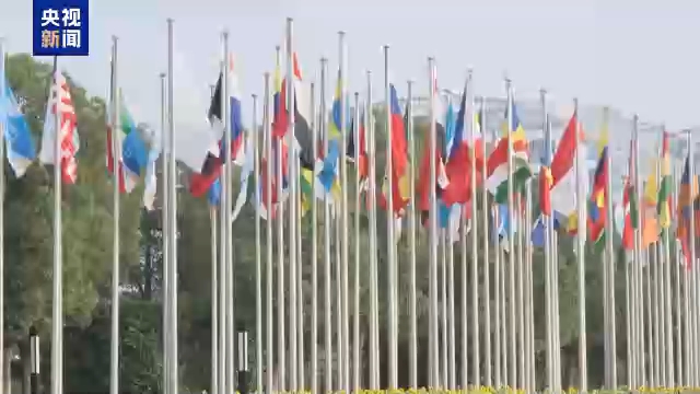 视频丨国际人士：进博会成为共享机遇的重要平台