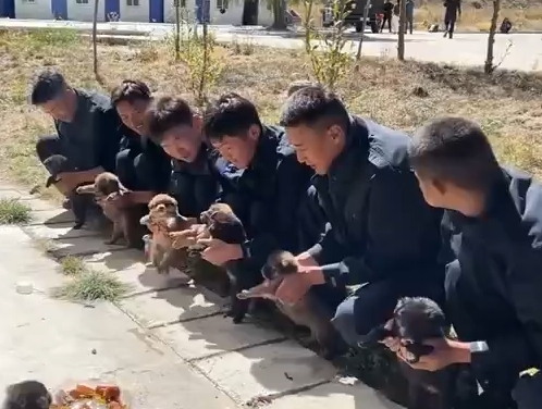 还没断奶就开启“特训”模式