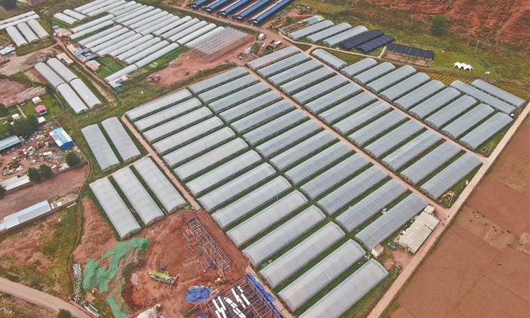 产业升级 群众增收