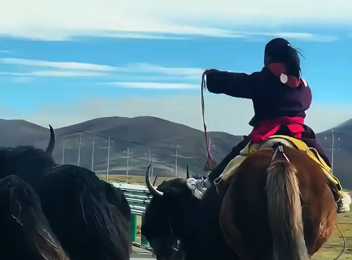 放牧女孩的大女主剧本 游客：被她硬控5分钟