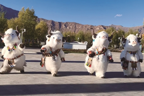 拉萨河“牦牛天团”打卡热潮点燃高原夜经济