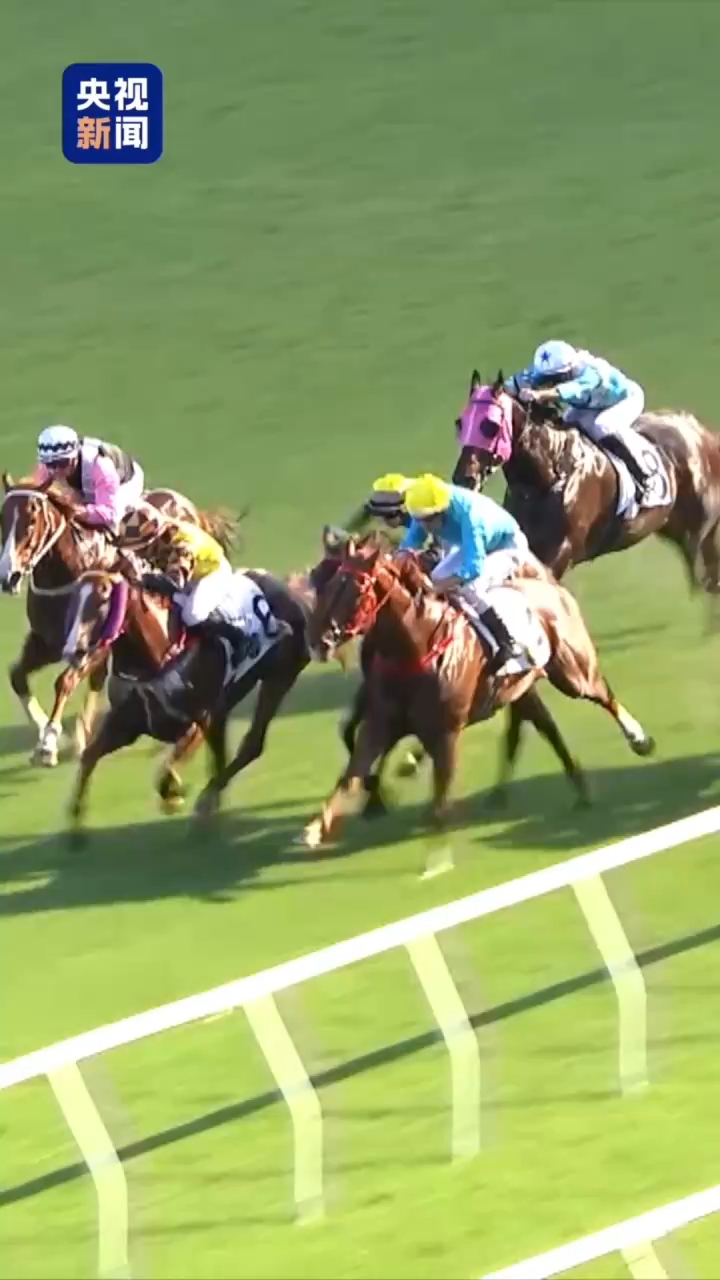 湾区“全”时刻丨在大湾区 马为啥越跑越快？