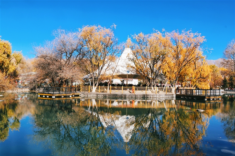 秋冬更迭 拉萨换季焕新颜