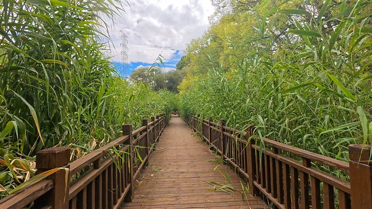 把拉萨打造成会“呼吸”的生态家园