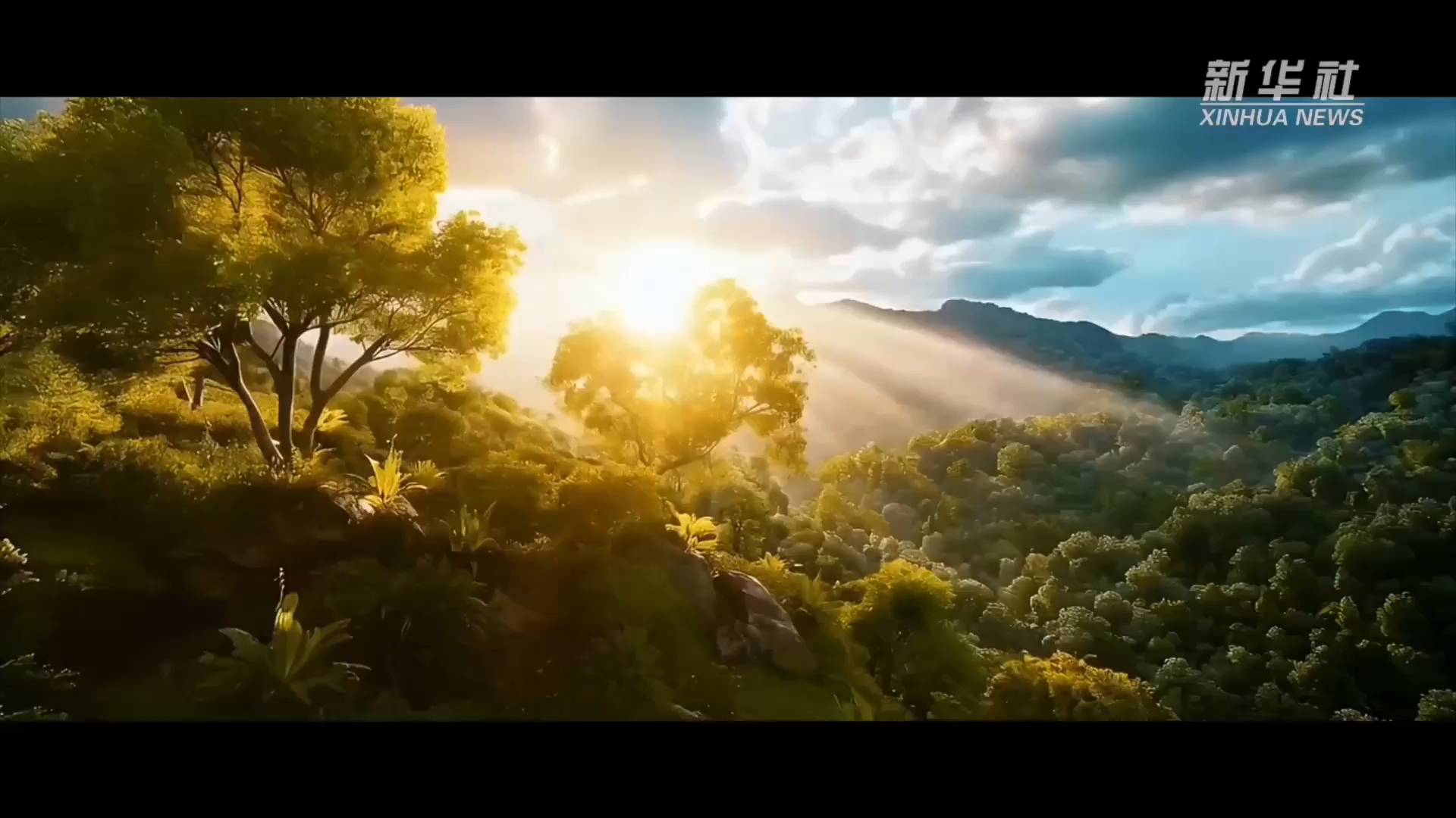 2025全球熊猫伙伴大会｜万物并育和合生