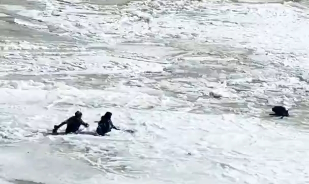 狗狗被困冰河，危机时刻村民破冰涉水紧急营救