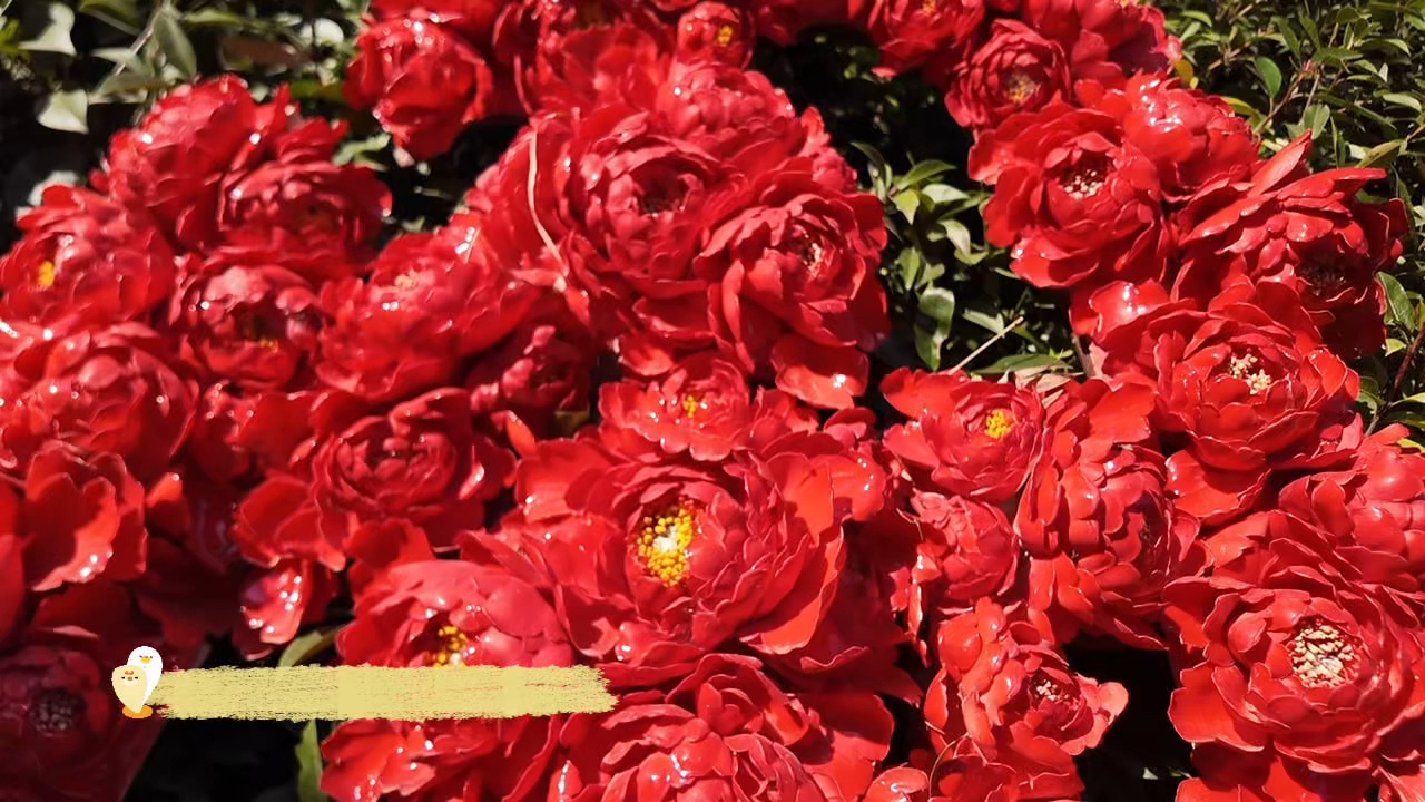 【2025打卡中国】瓷韵绽千年——感受中式美学的不朽力量