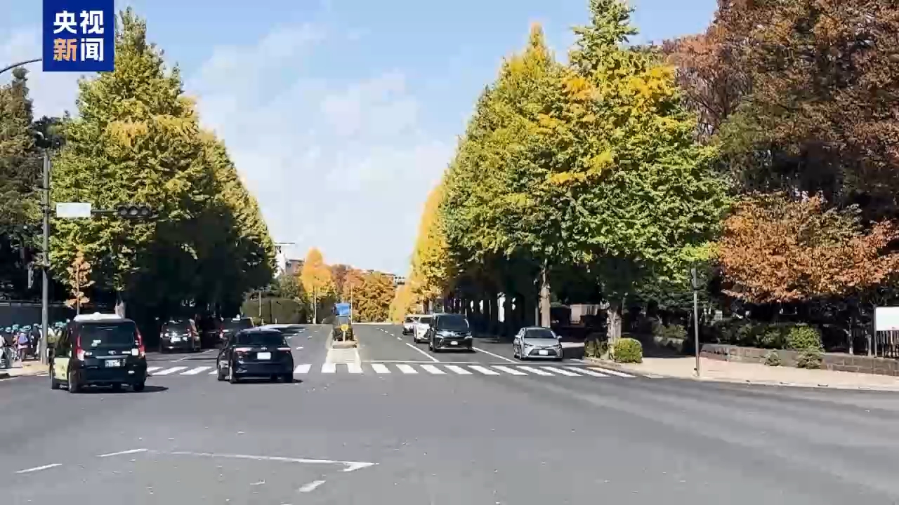 视频丨多国人士：高市错误言论违反国际法