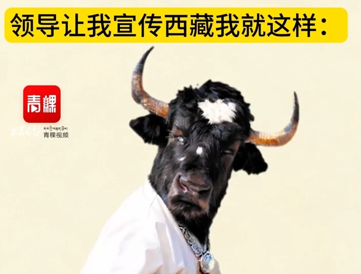 领导让我宣传西藏，我就这样
