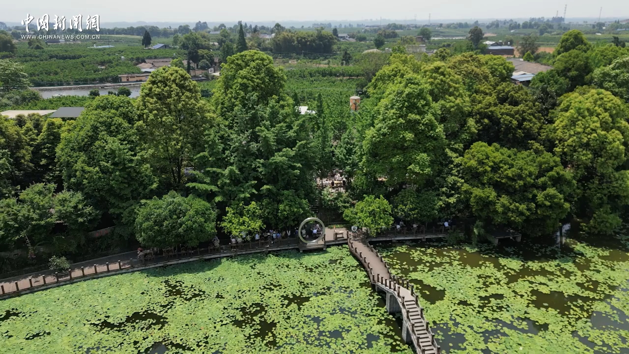 江山如画｜从传统农耕到未来乡村，传统村落何以跃迁