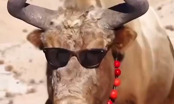 西藏阿里，摄影师偶遇高原“V8”！