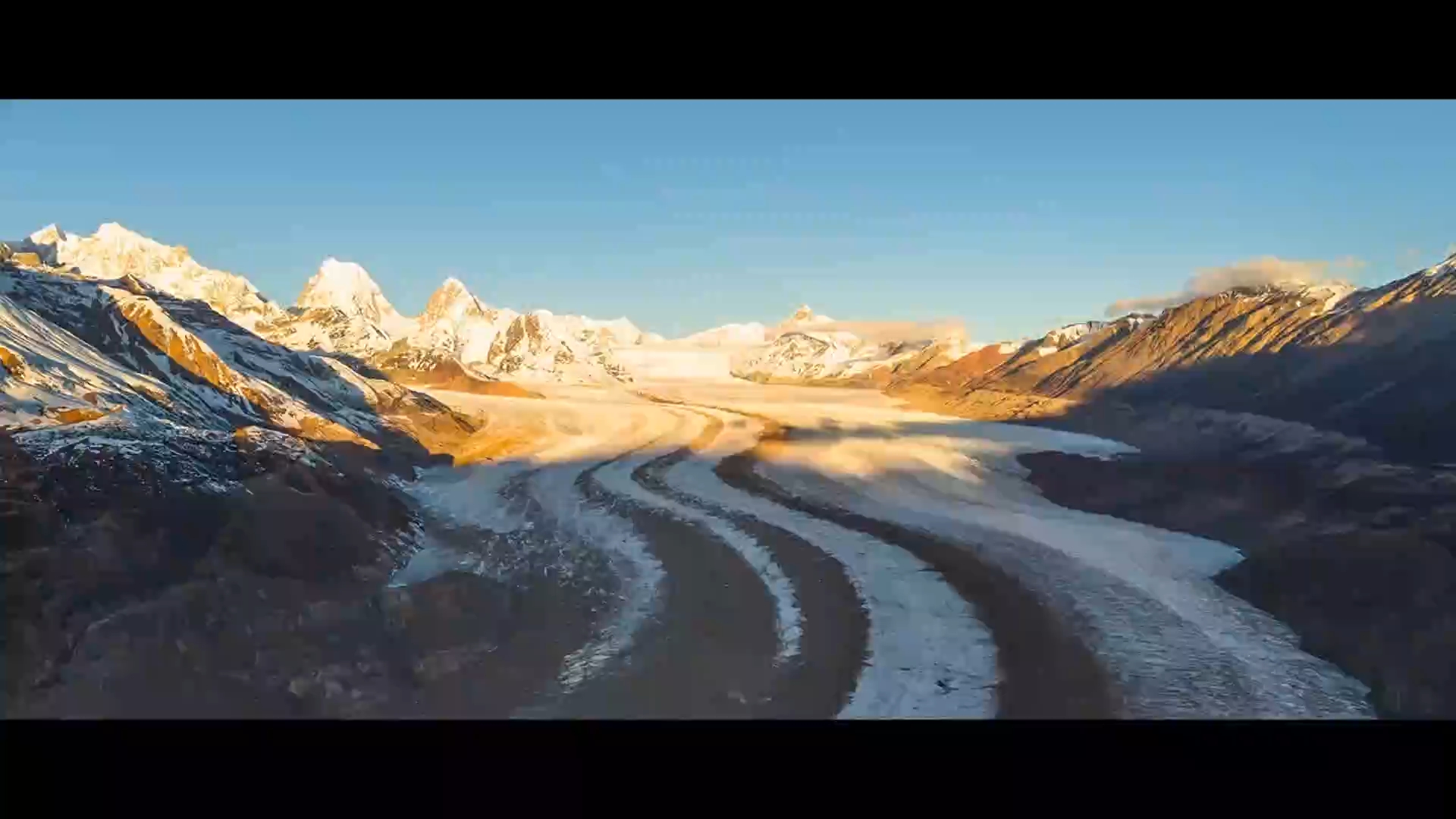 ​《我的青春，在西部发芽》专题片上线