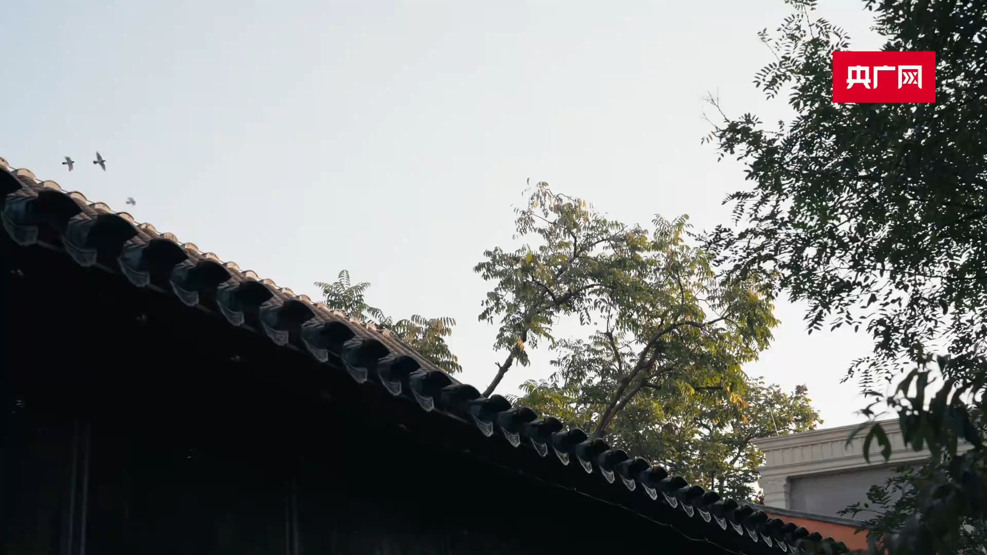 大国小巷·首善之治｜千年古都“逆龄”生长