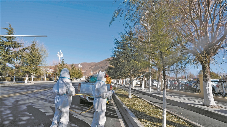 开展冬季病虫害防治 护佑树木健康成长