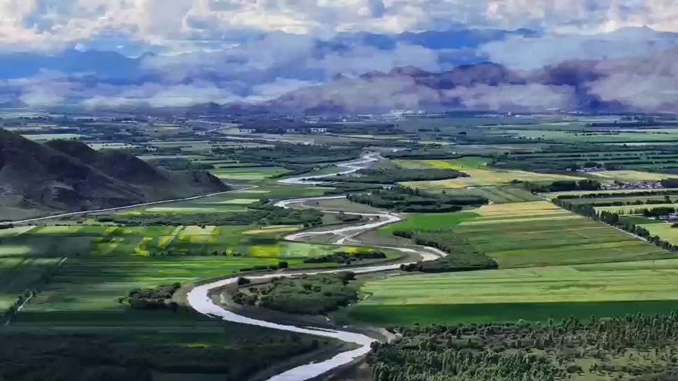 耕耘有伴 丰收有盼