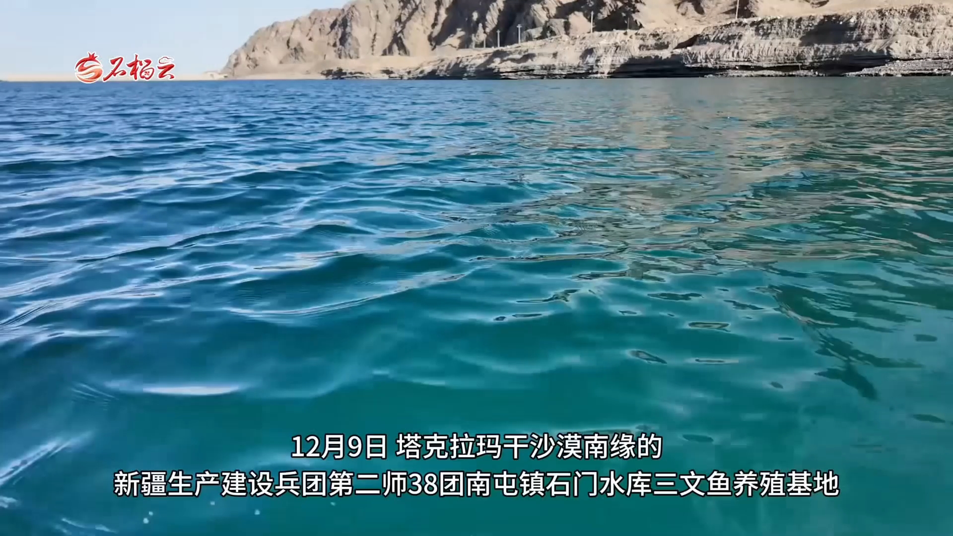 三文鱼产业全链布局 沙漠经济玩出“鲜”活力