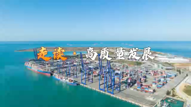 封关在即 带你走进海南自贸港“样板间”洋浦