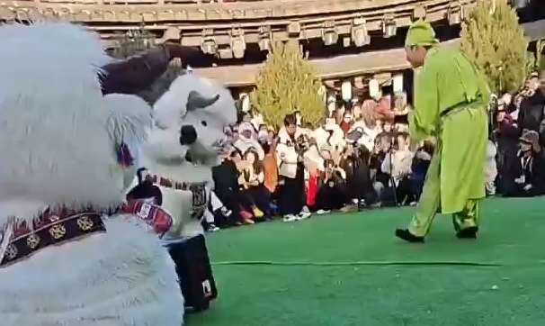 拉萨“牛牛天团”跨省“圈粉 ”