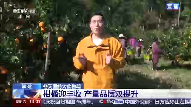 视频丨打破季节束缚 现代农业技术让“柑橘”经济再提速