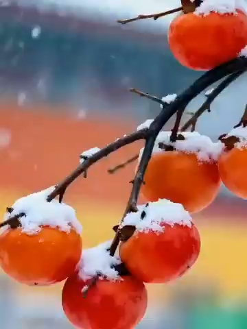 冬至如约而至 愿你幸福美满时来运转