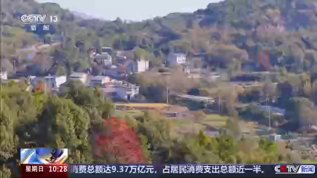 视频丨各地冬至吃什么？每一口都是团圆味