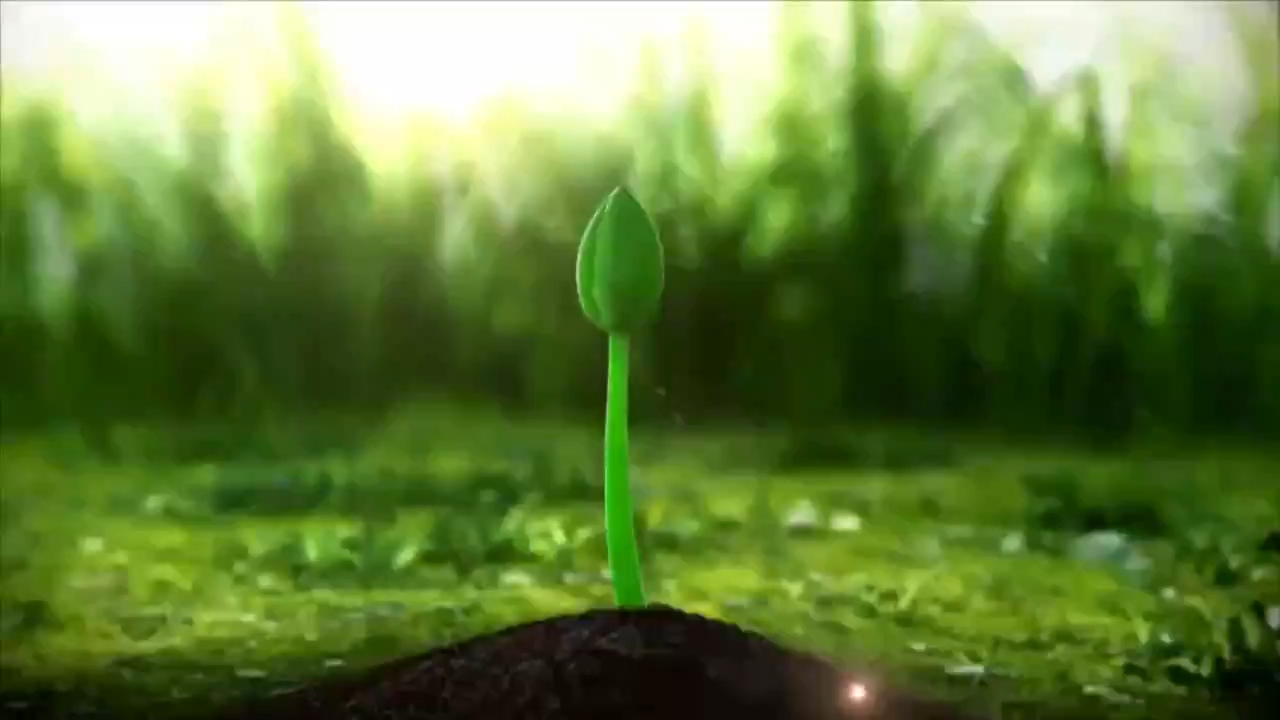 教育家精神万里行｜彭艳峰：燃烛育人 铸魂立范