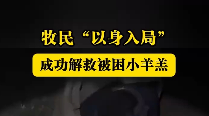 牧民暖心救助被困小羊羔