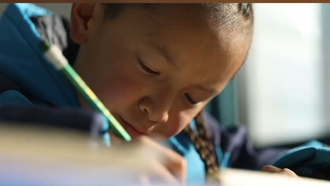 西藏小学生作文看哭网友