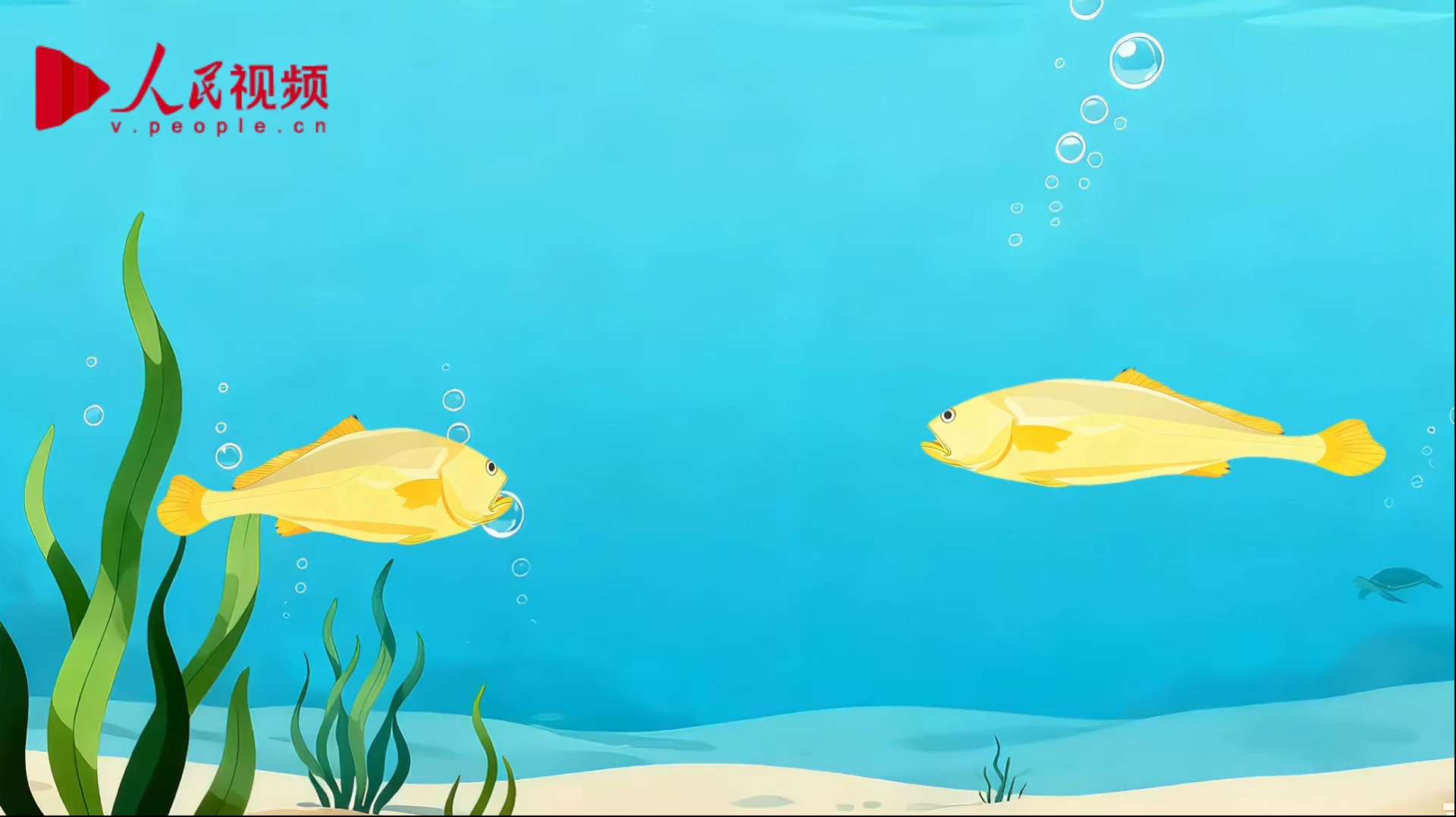 向海图强｜新时代的养鱼人