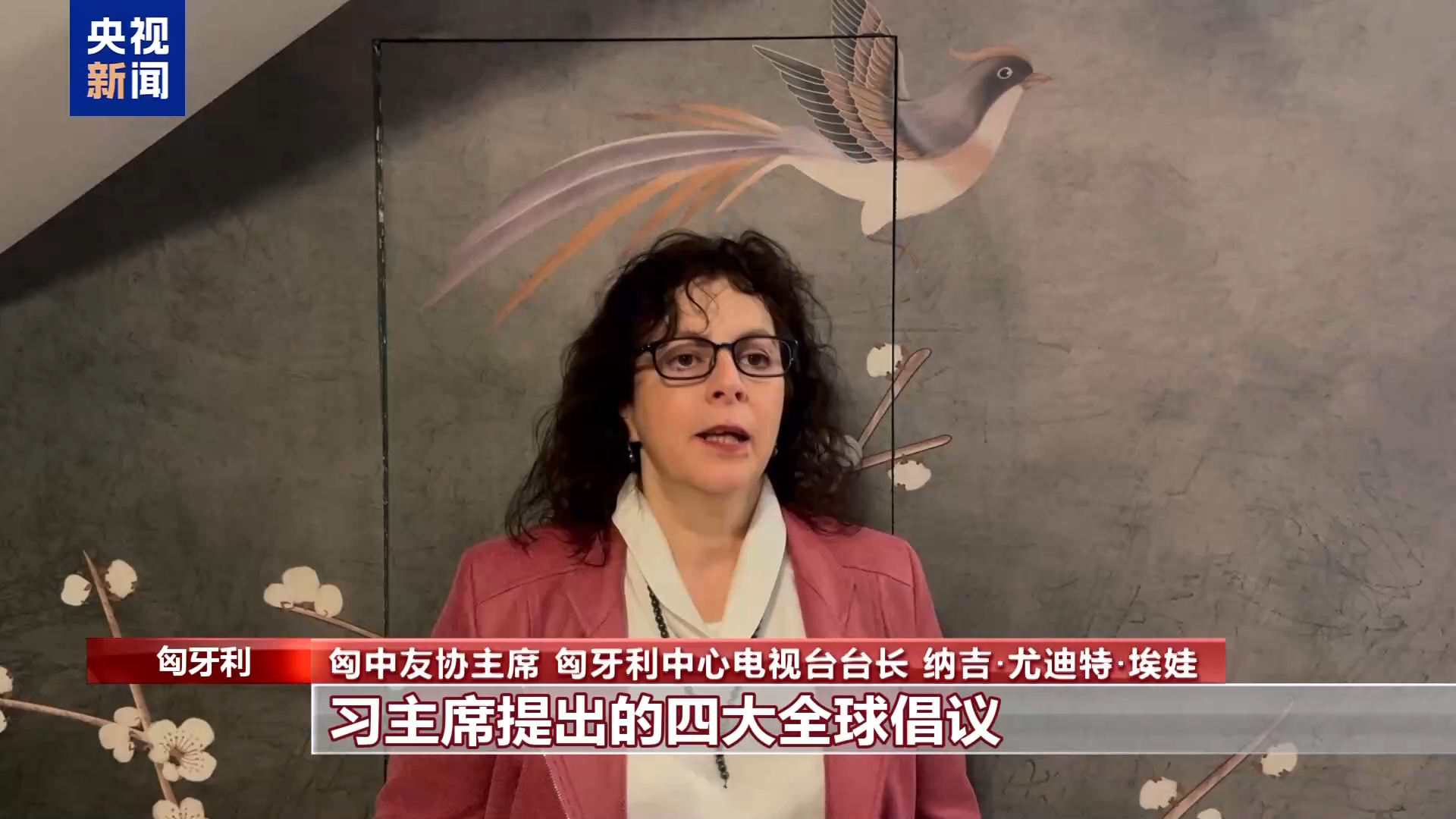 视频丨多国人士：习主席新年贺词向世界传递积极稳定信号