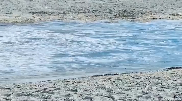 进藏游客辟谣式安利纳木错