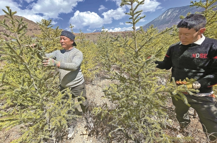 保护生态 助民增收