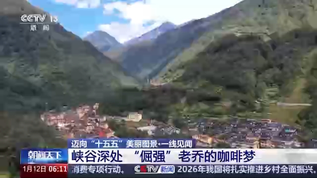 走出大山 云南咖啡何以从“红果”走向“红火”？