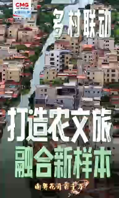 勇立潮头大湾区丨“百千万”显实效 渔村掀起“文旅热”<br>