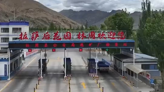 林周县首届年货节来啦