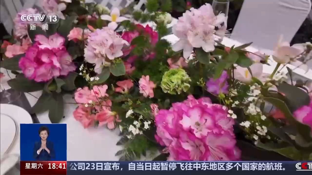 视频丨年宵花“花”式上新 年味“马上”来