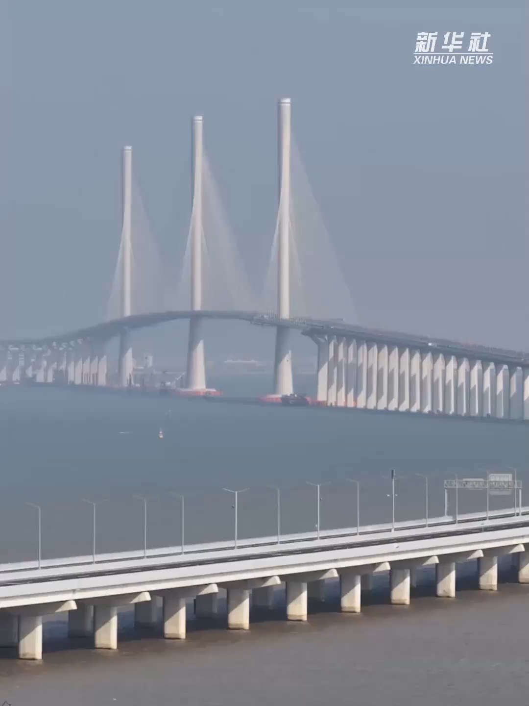 创新活力涌动，知识产权效益加速显现