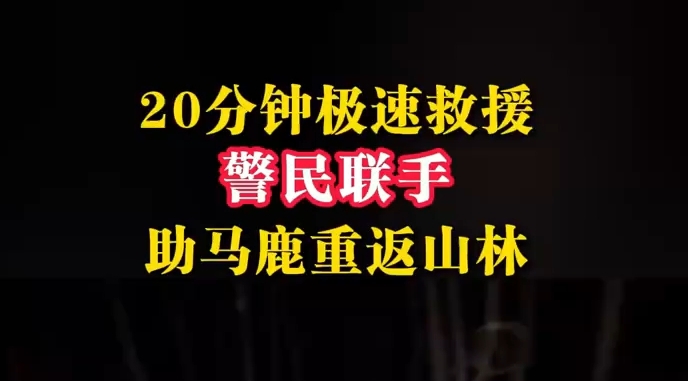 西藏警民联手救助被困马鹿
