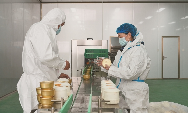 高原藏香鸡“啄”开致富门