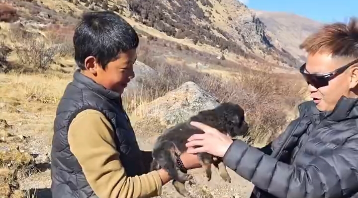 萍水相逢 小朋友将爱宠赠予游客