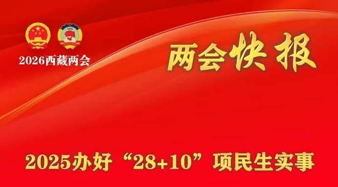 两会快报 | 2025办好“28+10”项民生实事