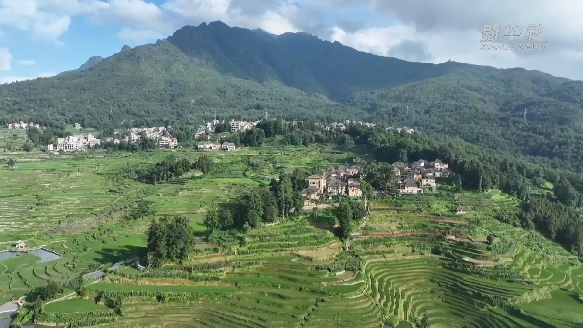 从中央一号文件看2026年“三农”工作路线图