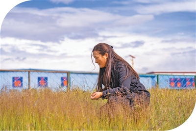 藏北高原有个草业科技小院（美丽中国）