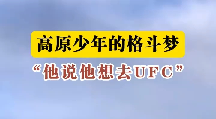 高原少年的格斗梦