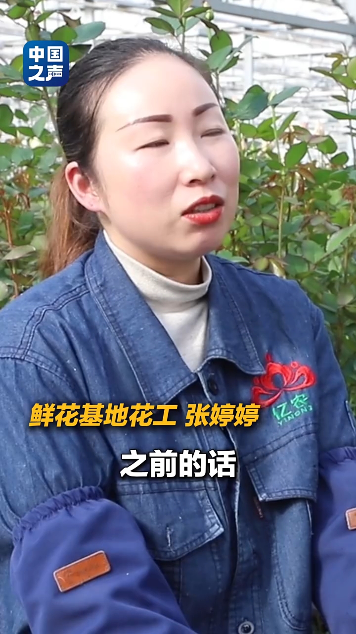 新春走基层｜黄土高原种玫瑰