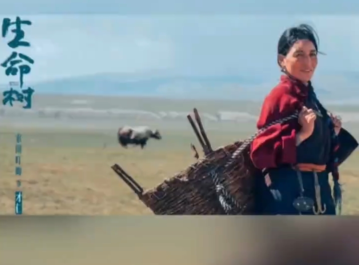 《生命树》“才仁”喊你来追剧