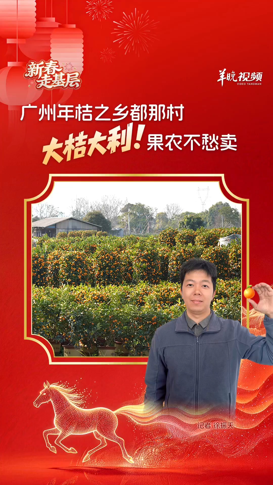 年桔热销正当时，广州“年桔之乡”为何停办“丰收节”？｜新春走基层