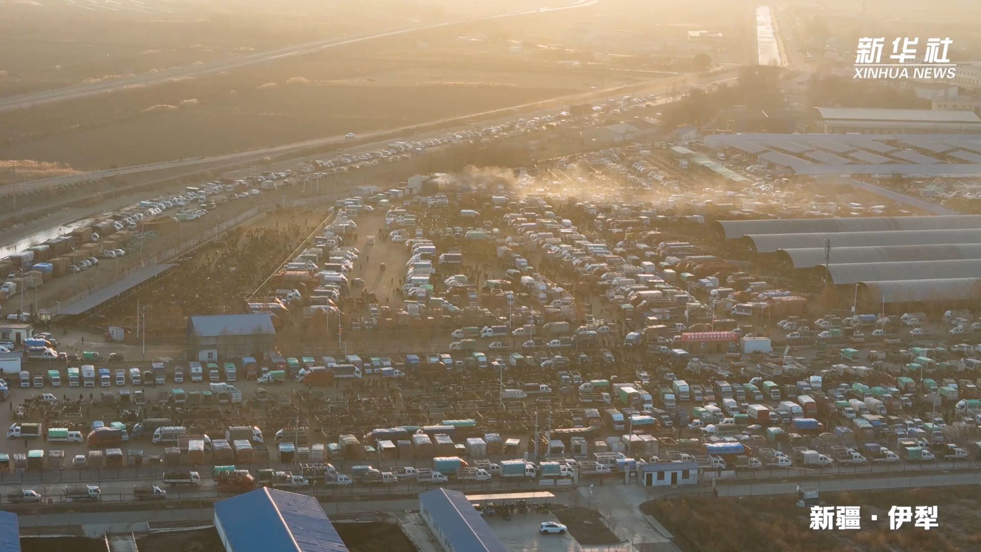 赶大集｜在新疆巴扎，看他们“拍手议价”
